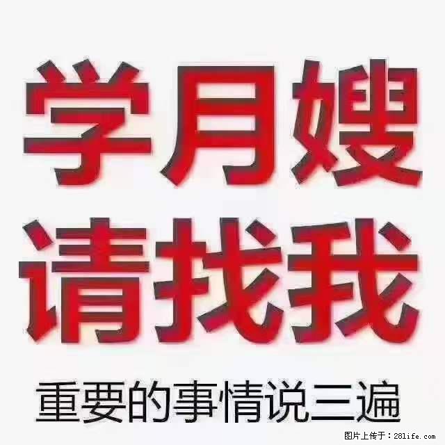 为什么要学习月嫂，育婴师？ - 其他广告 - 广告专区 - 鸡西分类信息 - 鸡西28生活网 jixi.28life.net