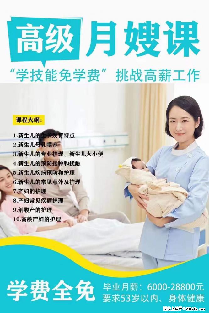为什么要学习月嫂，育婴师？ - 其他广告 - 广告专区 - 鸡西分类信息 - 鸡西28生活网 jixi.28life.net