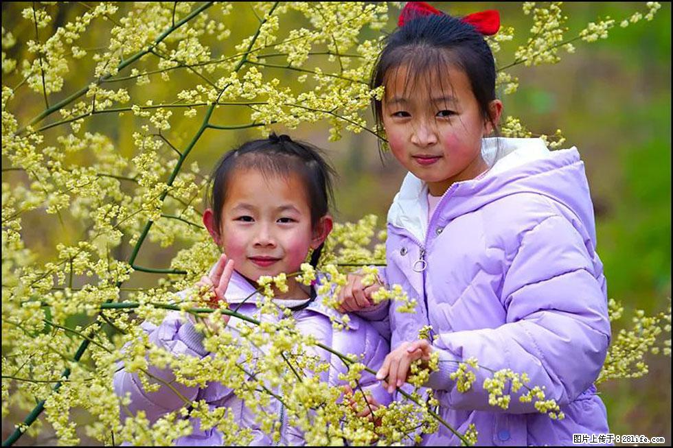 【春天，广西桂林灌阳县向您发出邀请！】米珠山前有片山苍子花在飘香 - 游山玩水 - 鸡西生活社区 - 鸡西28生活网 jixi.28life.net