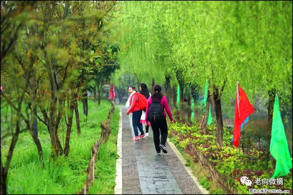 【春天，广西桂林灌阳县向您发出邀请！】江口老街又逢春 - 游山玩水 - 鸡西生活社区 - 鸡西28生活网 jixi.28life.net