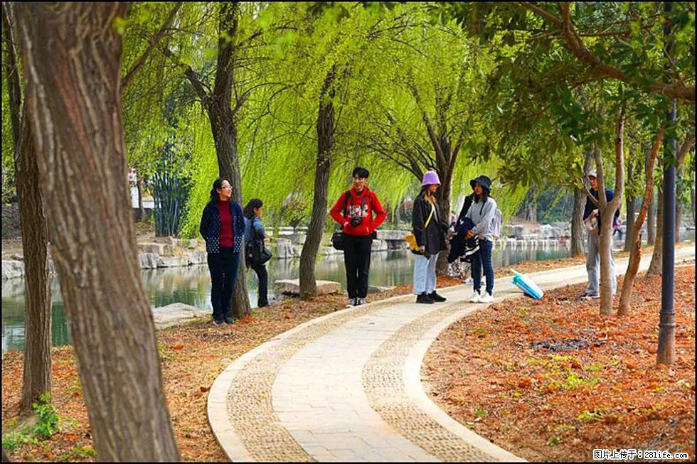 【春天，广西桂林灌阳县向您发出邀请！】江口老街又逢春 - 游山玩水 - 鸡西生活社区 - 鸡西28生活网 jixi.28life.net
