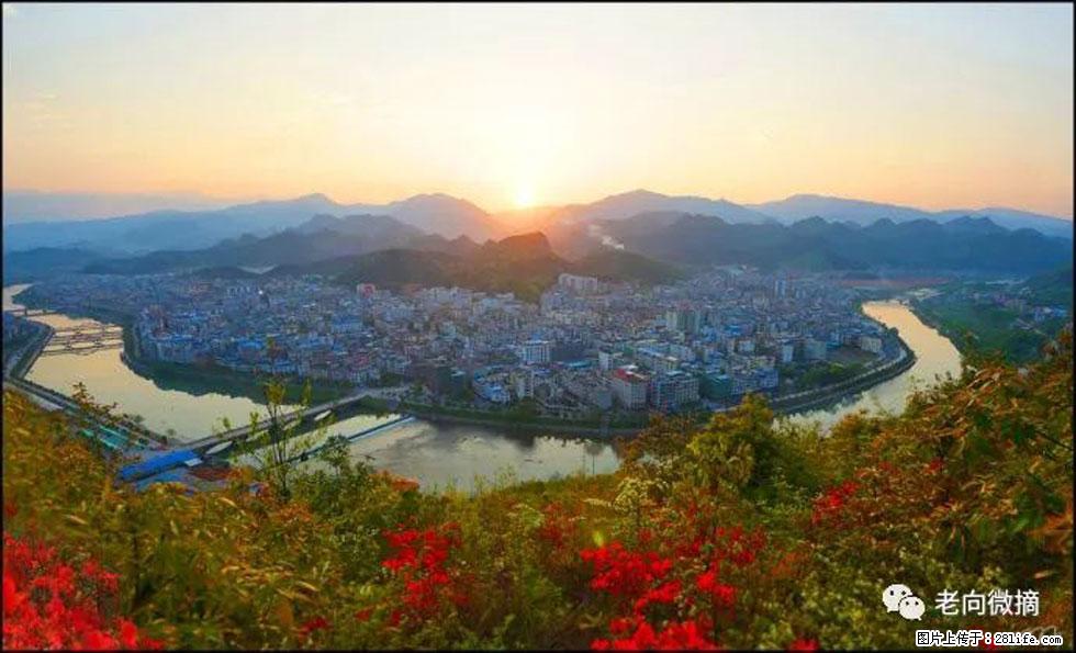【春天，广西桂林灌阳县向您发出邀请！】登麒麟山，相约映山红 - 游山玩水 - 鸡西生活社区 - 鸡西28生活网 jixi.28life.net