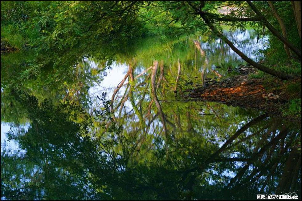 【春天，广西桂林灌阳县向您发出邀请！】熊家寨湿地公园 - 游山玩水 - 鸡西生活社区 - 鸡西28生活网 jixi.28life.net