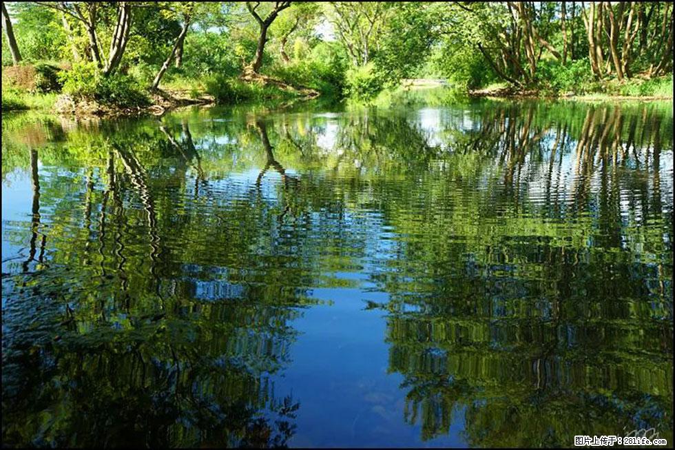 【春天，广西桂林灌阳县向您发出邀请！】熊家寨湿地公园 - 游山玩水 - 鸡西生活社区 - 鸡西28生活网 jixi.28life.net