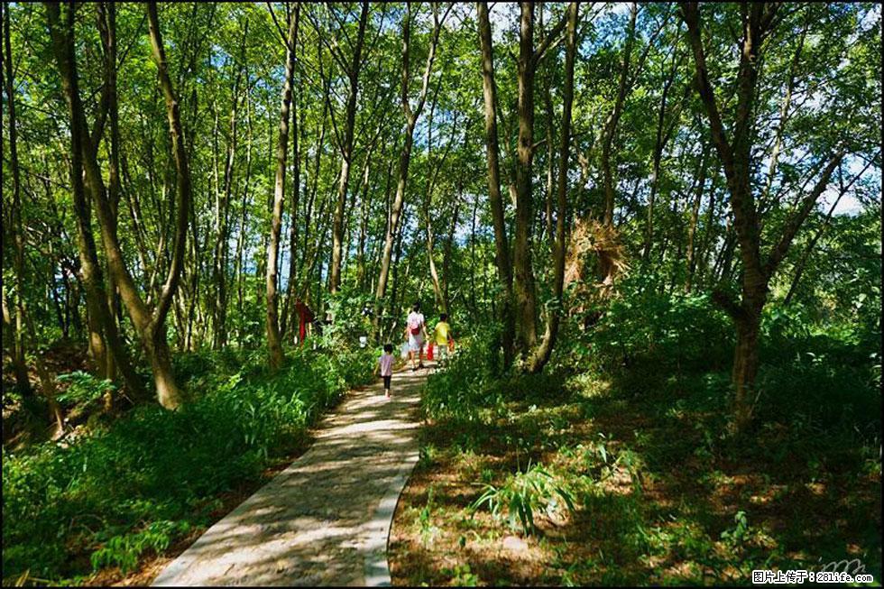 【春天，广西桂林灌阳县向您发出邀请！】熊家寨湿地公园 - 游山玩水 - 鸡西生活社区 - 鸡西28生活网 jixi.28life.net