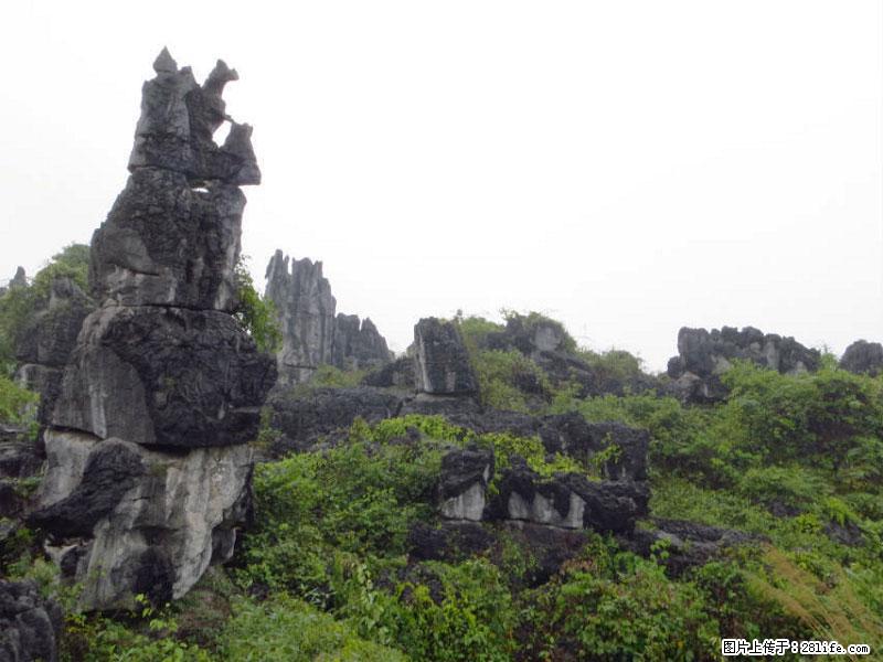 桂林旅游名城景点：灌阳文市石林 - 游山玩水 - 鸡西生活社区 - 鸡西28生活网 jixi.28life.net