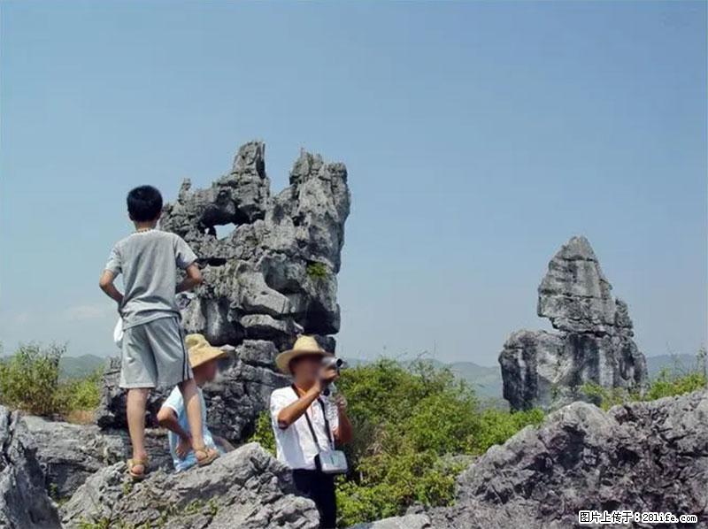 桂林旅游名城景点：灌阳文市石林 - 游山玩水 - 鸡西生活社区 - 鸡西28生活网 jixi.28life.net