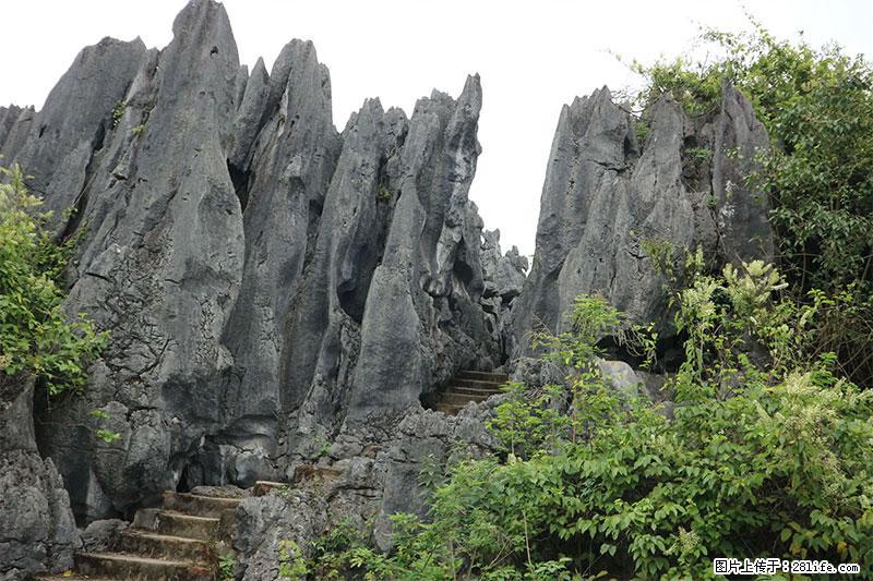桂林旅游名城景点：灌阳文市石林 - 游山玩水 - 鸡西生活社区 - 鸡西28生活网 jixi.28life.net