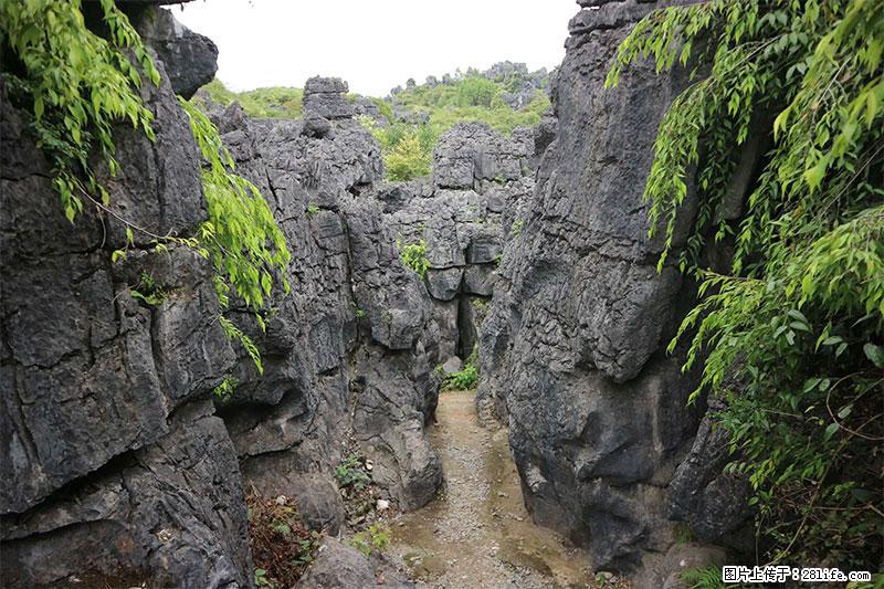 桂林旅游名城景点：灌阳文市石林 - 游山玩水 - 鸡西生活社区 - 鸡西28生活网 jixi.28life.net