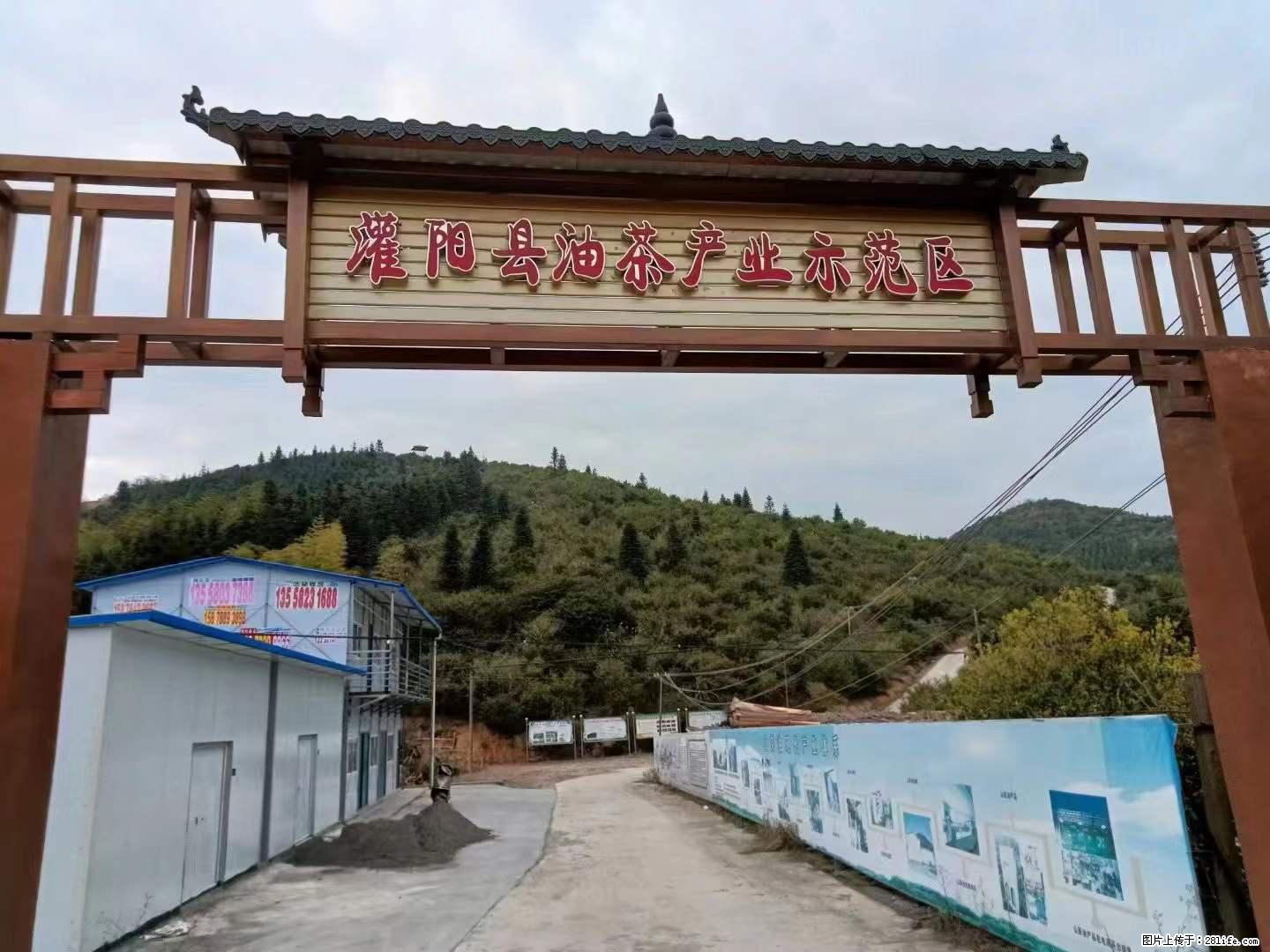 【灌阳县油茶产业示范区】一个有着充实的精神生活的人，对待身外之物自会有一种淡泊的态度 - 土特产 - 饮食特产 - 鸡西分类信息 - 鸡西28生活网 jixi.28life.net