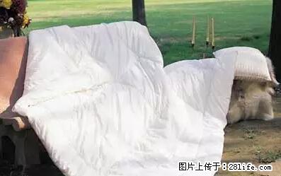 被子有异味？只要这样做，比晒太阳还强100倍！ - 家居生活 - 鸡西生活社区 - 鸡西28生活网 jixi.28life.net