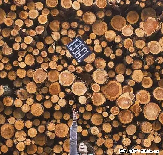 辞掉工作周游世界？现在他们在洗厕所…… - 游山玩水 - 鸡西生活社区 - 鸡西28生活网 jixi.28life.net