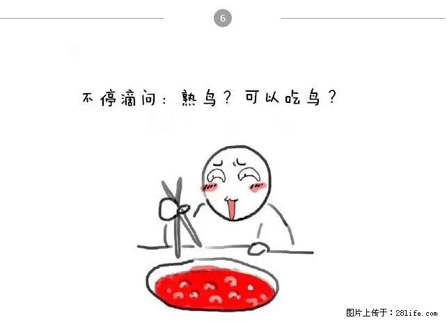千万不要和这9种哈卵一起吃火锅！ - 美食天地 - 鸡西生活社区 - 鸡西28生活网 jixi.28life.net