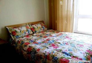 龙山国际婚房每天298元 - 鸡西28生活网 jixi.28life.net