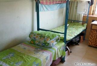 (单间出租)招女生住宿上下铺 金龙大厦楼上百货大楼万达老大商附近 - 鸡西28生活网 jixi.28life.net