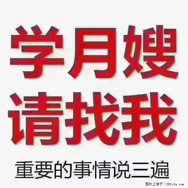 【招聘】月嫂，上海徐汇区 - 职场交流 - 鸡西生活社区 - 鸡西28生活网 jixi.28life.net