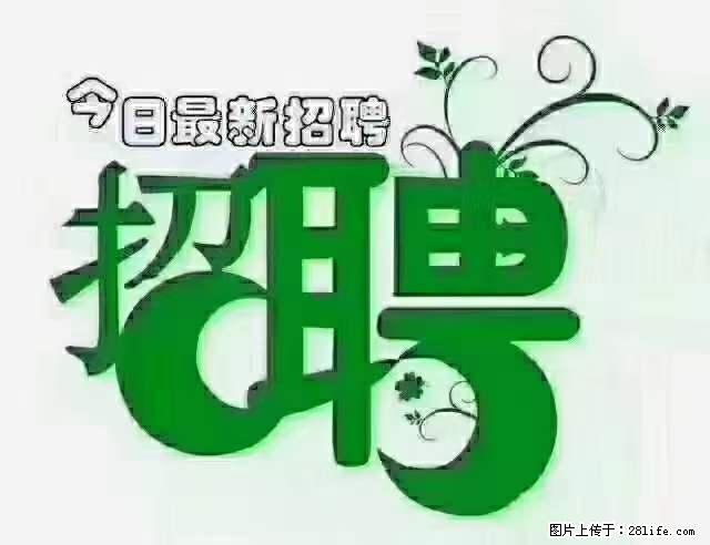 上海青浦区招仓管 - 职场交流 - 鸡西生活社区 - 鸡西28生活网 jixi.28life.net