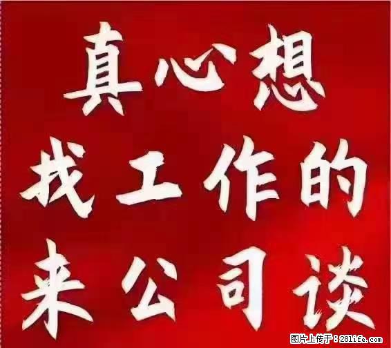 【上海】国企，医院招两名男保安，55岁以下，身高1.7米以上，无犯罪记录不良嗜好 - 职场交流 - 鸡西生活社区 - 鸡西28生活网 jixi.28life.net