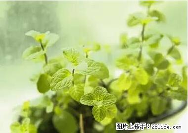 晕车、脚气、牙齿变黄、皮肤粗糙？学会这些三分钟搞定！ - 鸡西生活资讯 - 鸡西28生活网 jixi.28life.net