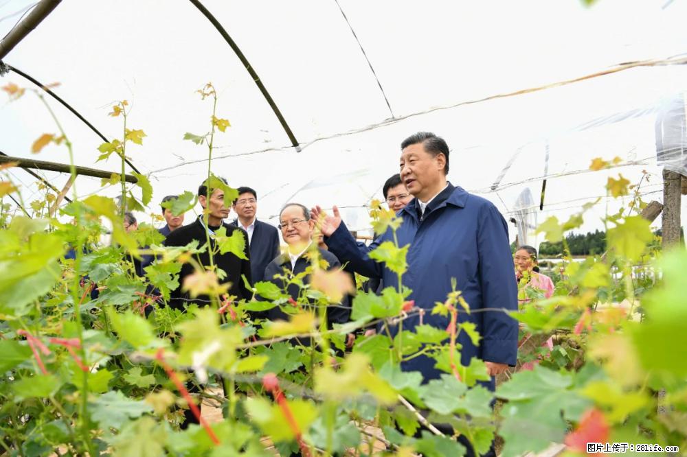 习近平赴广西考察调研 - 鸡西生活资讯 - 鸡西28生活网 jixi.28life.net