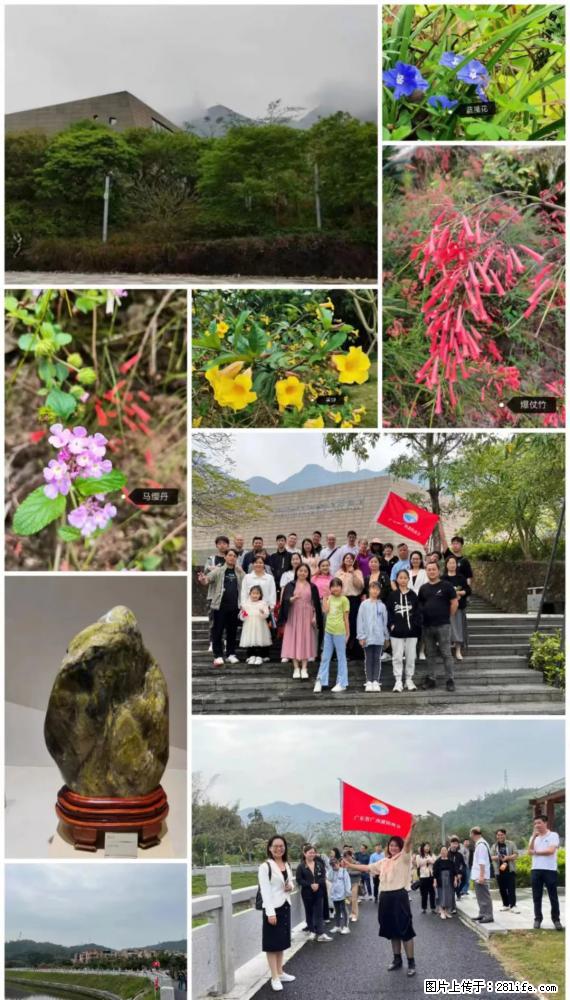 “粤灌文化 美好生活”油茶文化主题活动在广东深圳成功举办 - 鸡西生活资讯 - 鸡西28生活网 jixi.28life.net