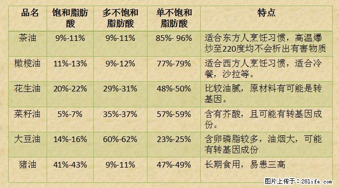 揭秘茶油的5大核心营养成分！被称为人体健康的“守护盾”！ - 鸡西生活资讯 - 鸡西28生活网 jixi.28life.net