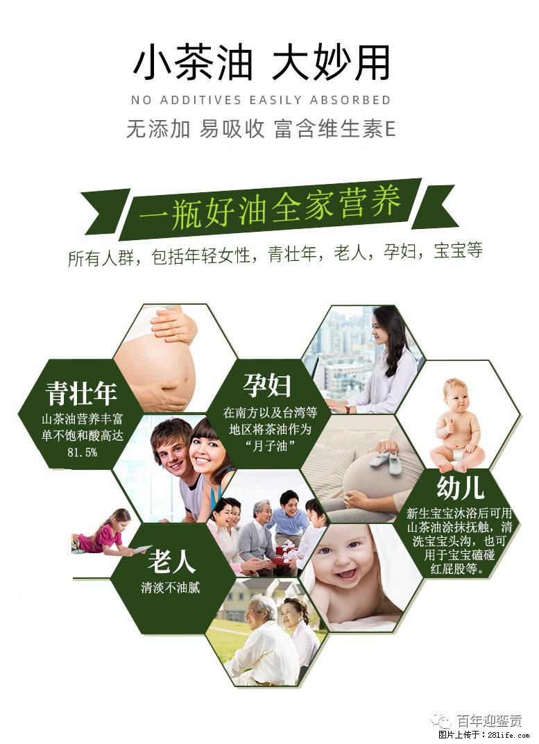 世界没有真相,只有认知,最好的食用油是中国的山茶油! - 鸡西生活资讯 - 鸡西28生活网 jixi.28life.net