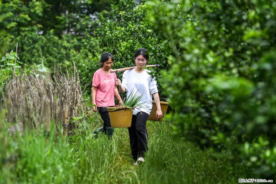 全网追的“扁担女孩”，找了一份暑假工，时薪12元 - 鸡西生活资讯 - 鸡西28生活网 jixi.28life.net