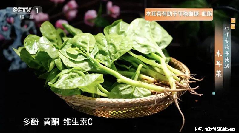比牛奶补钙还厉害！凉血解毒、稳血糖...这菜冬天必吃，很多人却当草 - 鸡西生活资讯 - 鸡西28生活网 jixi.28life.net