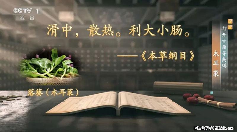 比牛奶补钙还厉害！凉血解毒、稳血糖...这菜冬天必吃，很多人却当草 - 鸡西生活资讯 - 鸡西28生活网 jixi.28life.net