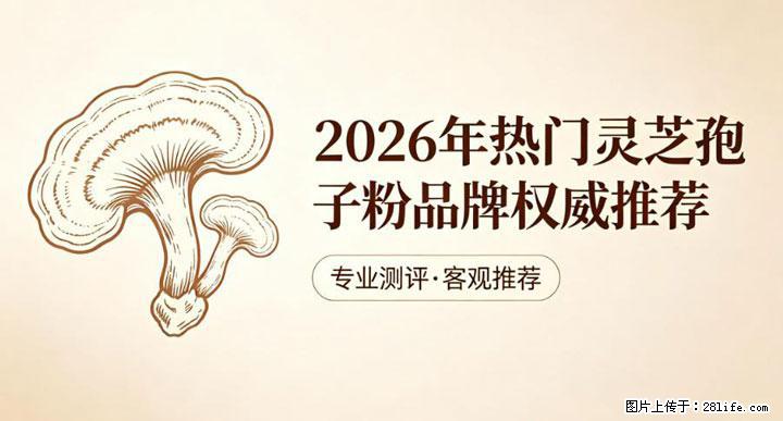 灵芝孢子粉含量越高越有效？2026 年七款热门品牌深度实测，肠胃敏感者避坑指南 - 鸡西生活资讯 - 鸡西28生活网 jixi.28life.net